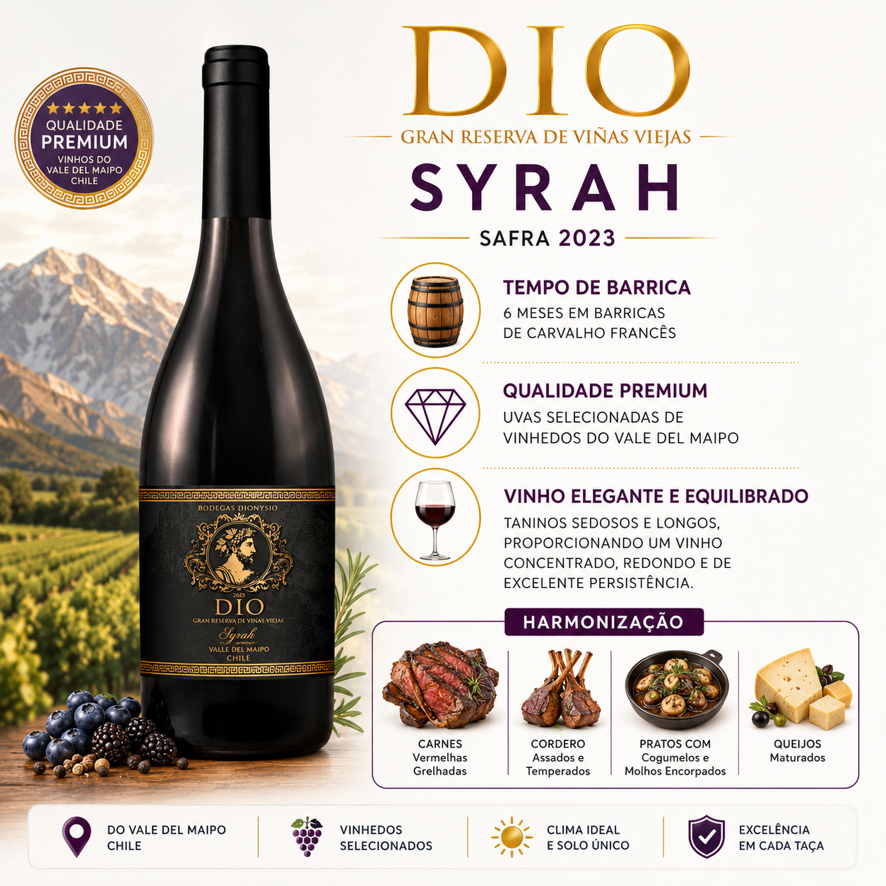 Vinho Tinto DIO Gran Reserva Syrah 2023 - Chile 2023