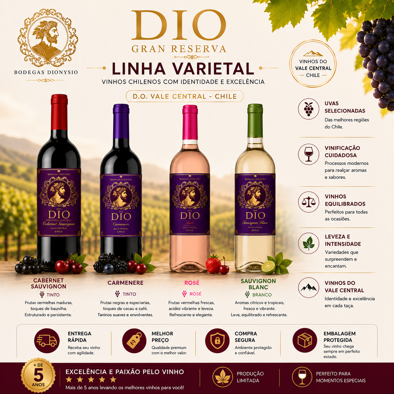 Vinho Tinto DIO Carmenere - Chile 2025