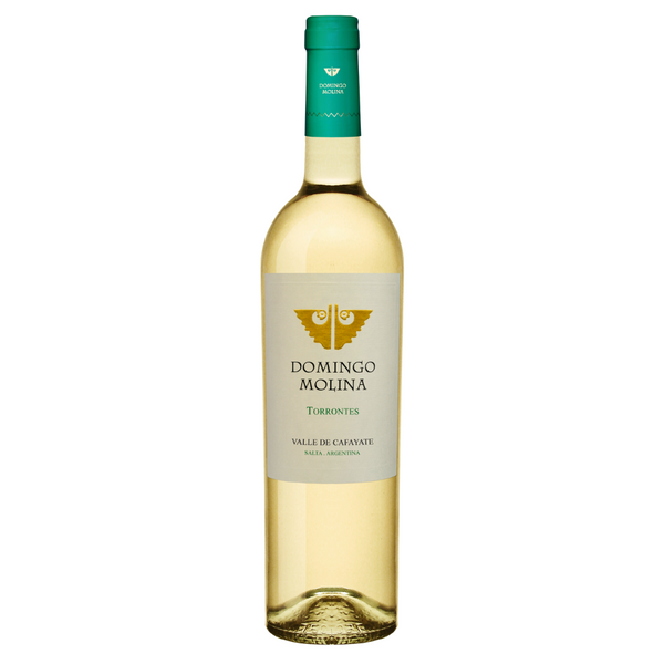 DOMINGO MOLINA TORRONTES 2022