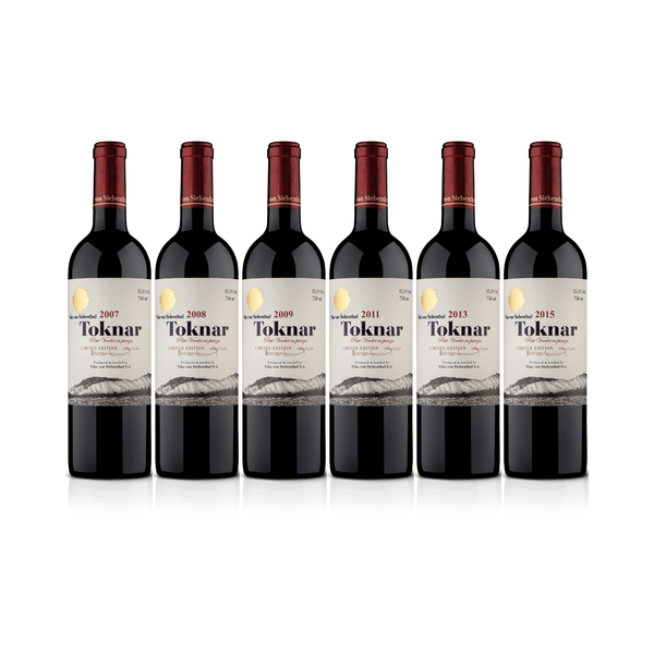 VERTICAL VON SIEBENTHAL TOKNAR - 2007, 2008, 2009, 2011, 2013 e 2015