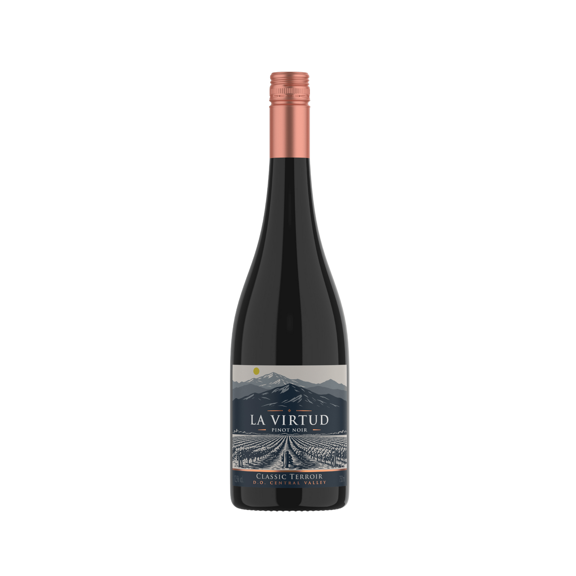 LA VIRTUD CLASSIC TERROIR PINOT NOIR 2024