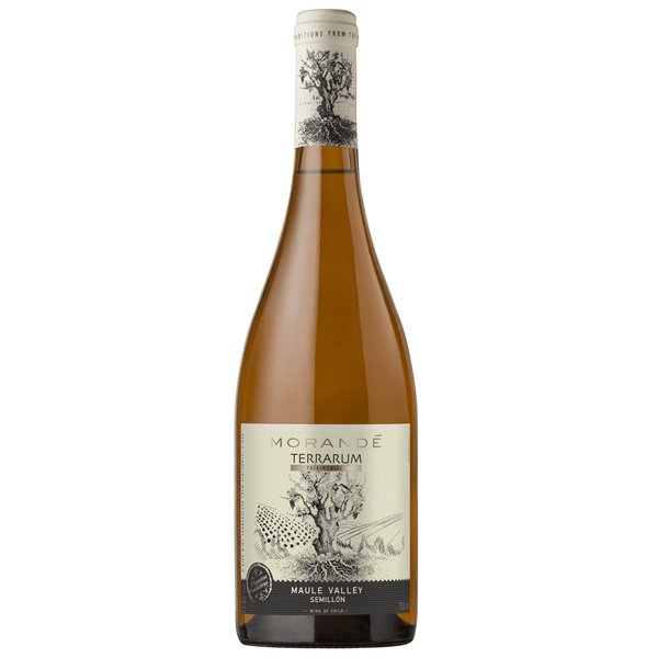 MORANDE TERRARUM PATRIMONIAL SEMILLON 2023