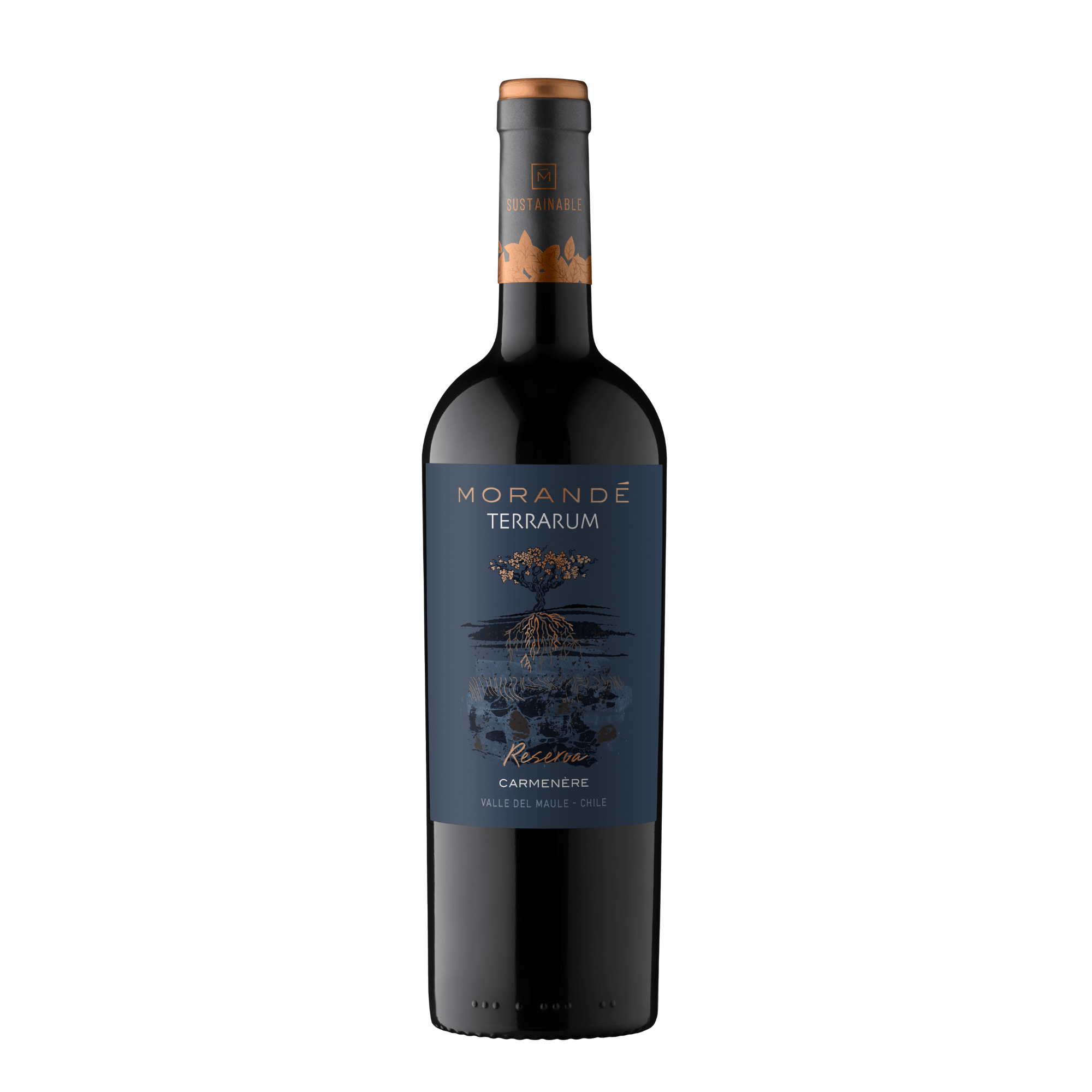 MORANDE TERRARUM RESERVA CARMENERE 2023