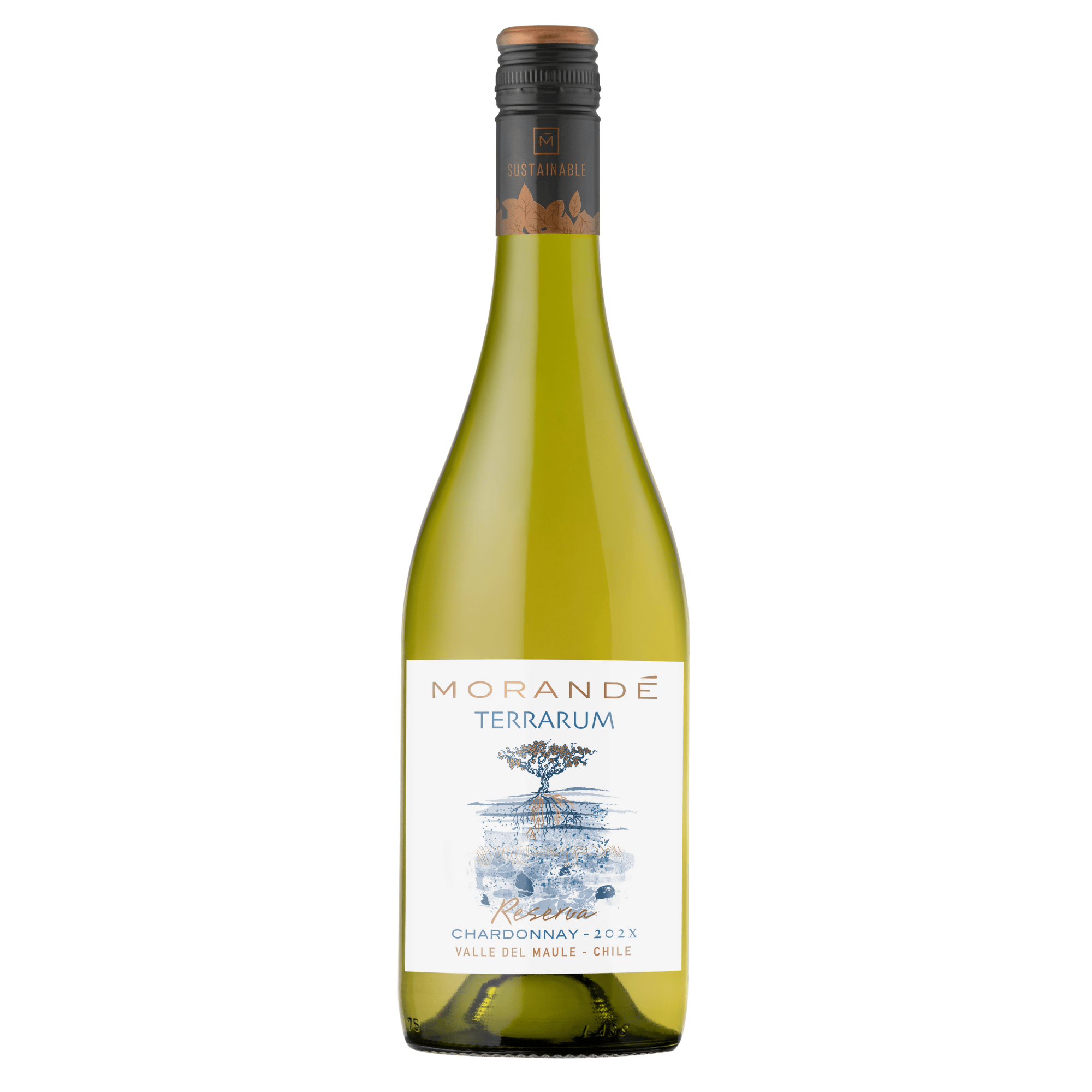 MORANDE TERRARUM RESERVA CHARDONNAY 2025