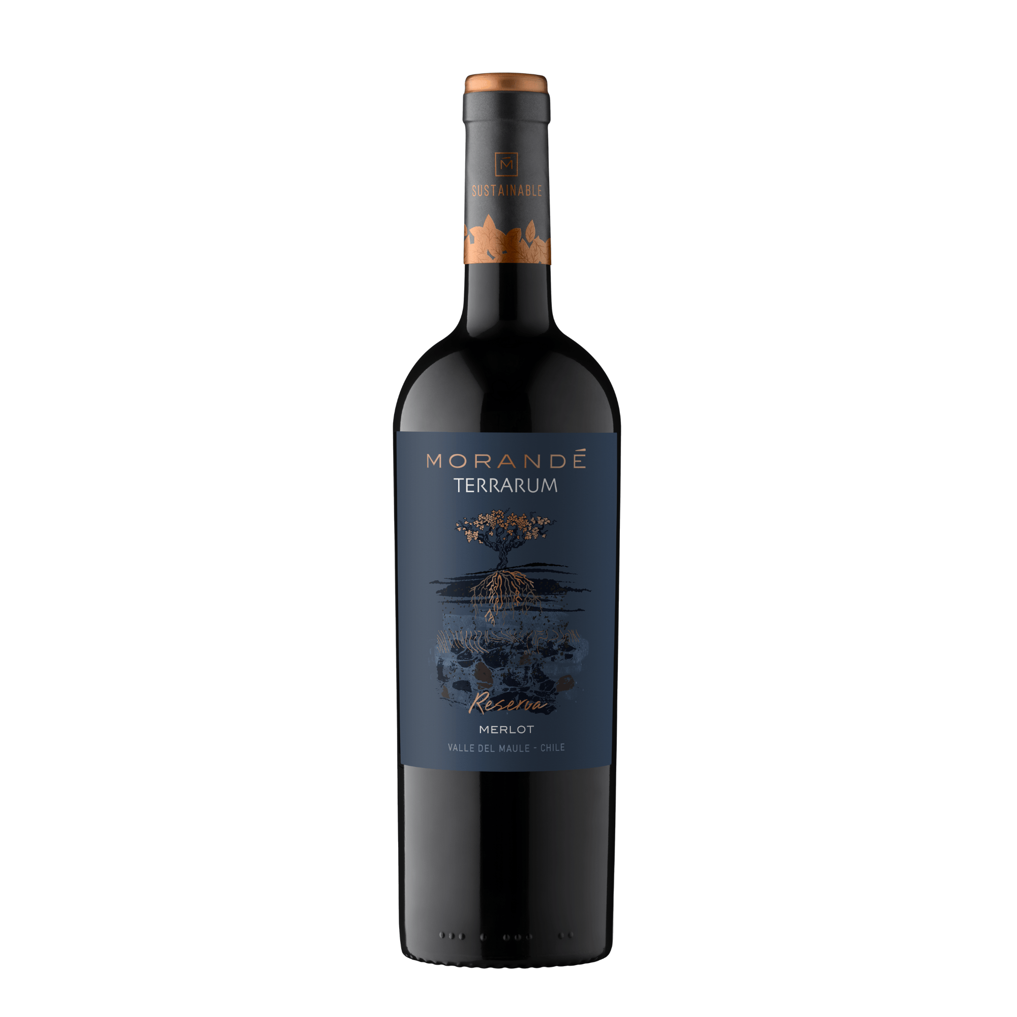 MORANDE TERRARUM RESERVA MERLOT 2023