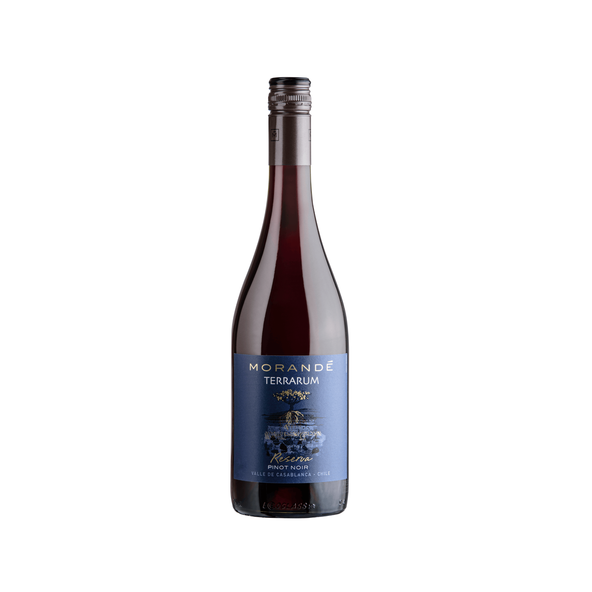 MORANDE TERRARUM RESERVA PINOT NOIR 2023