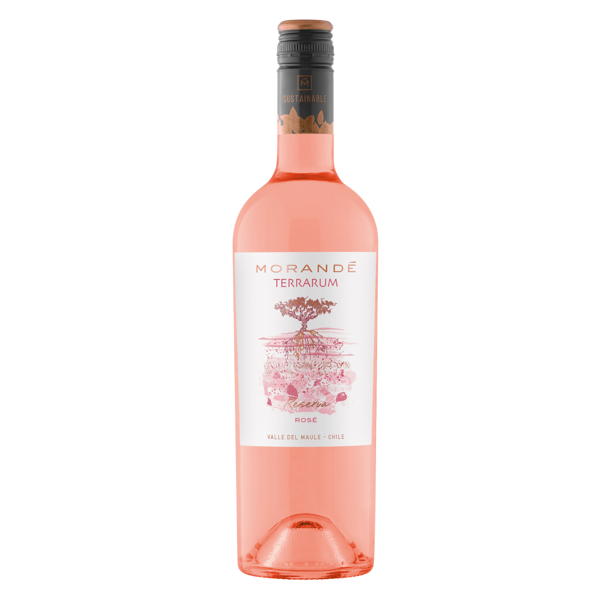 MORANDE TERRARUM RESERVA ROSE 2025