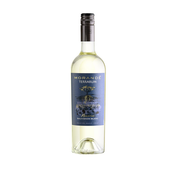 MORANDÉ TERRARUM RESERVA SAUVIGNON BLANC 2024