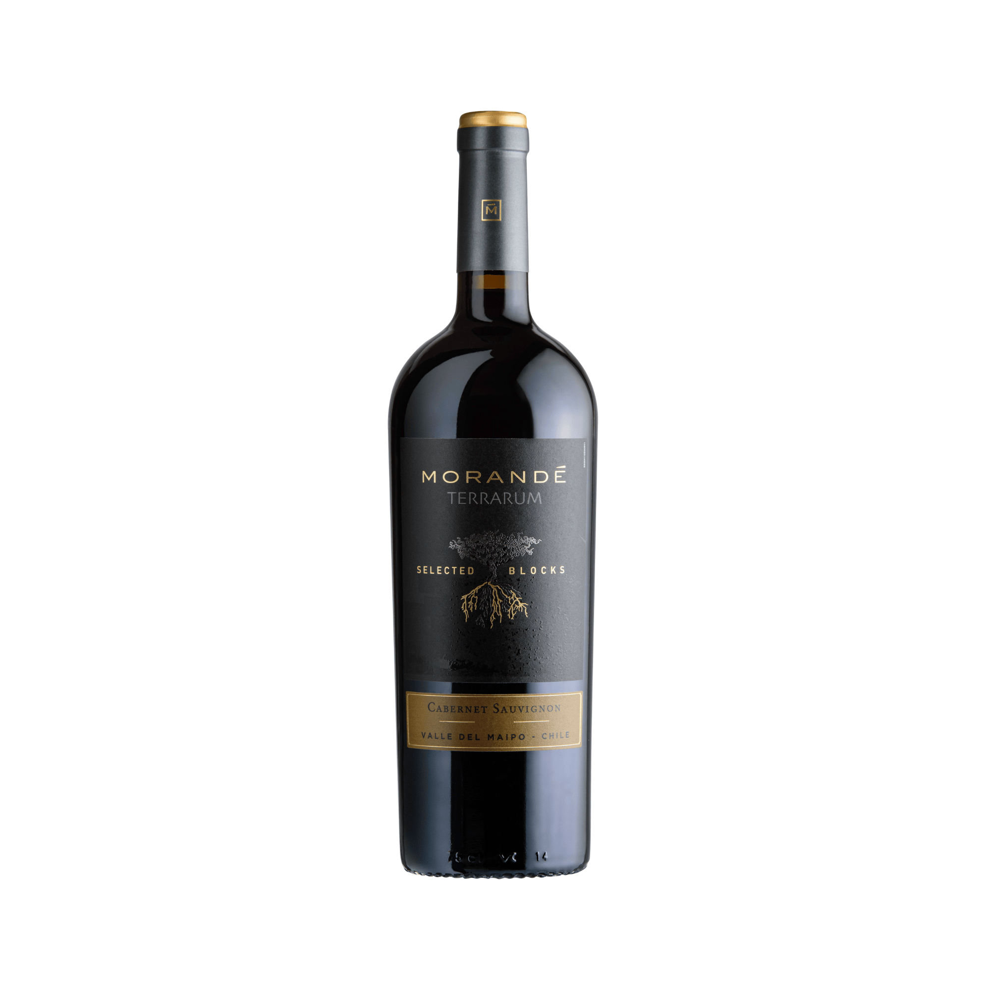 MORANDE TERRARUM SELECTED BLOCKS CABERNET SAUVIGNON 2020