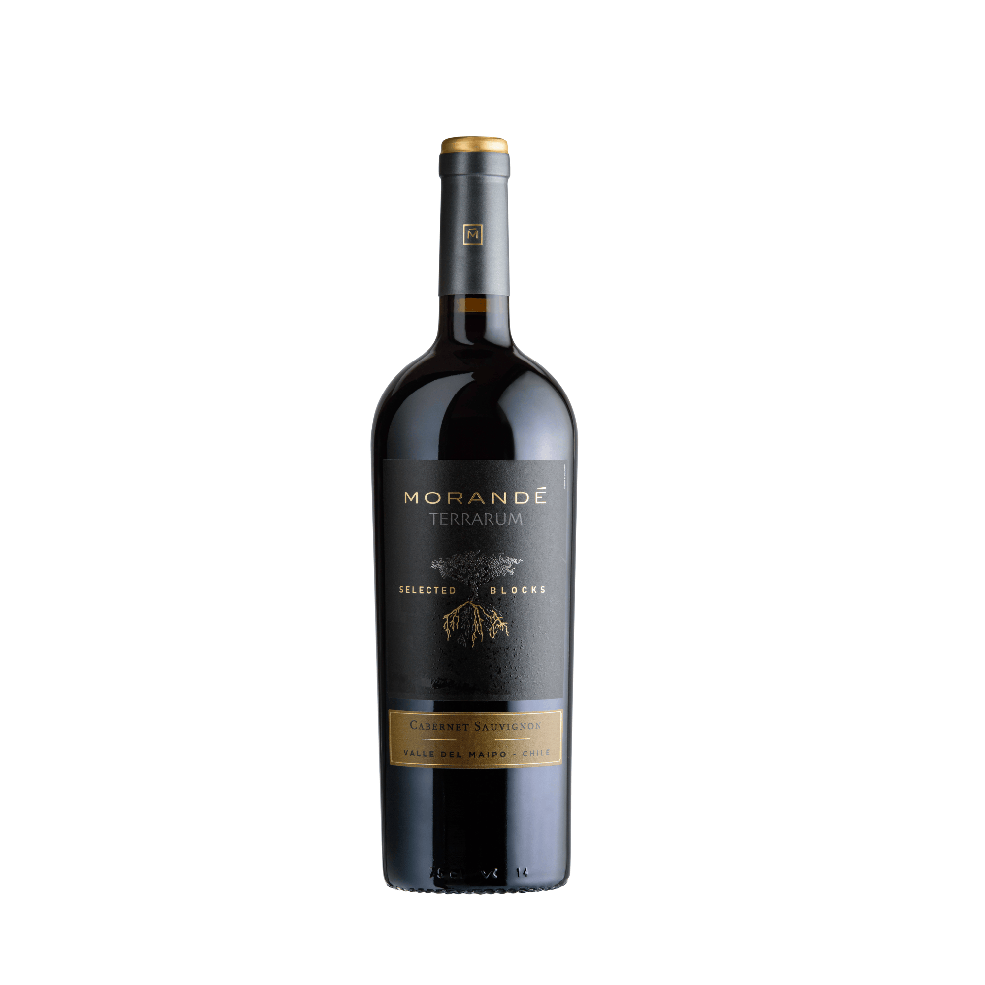 MORANDE TERRARUM SELECTED BLOCKS CABERNET SAUVIGNON 2022