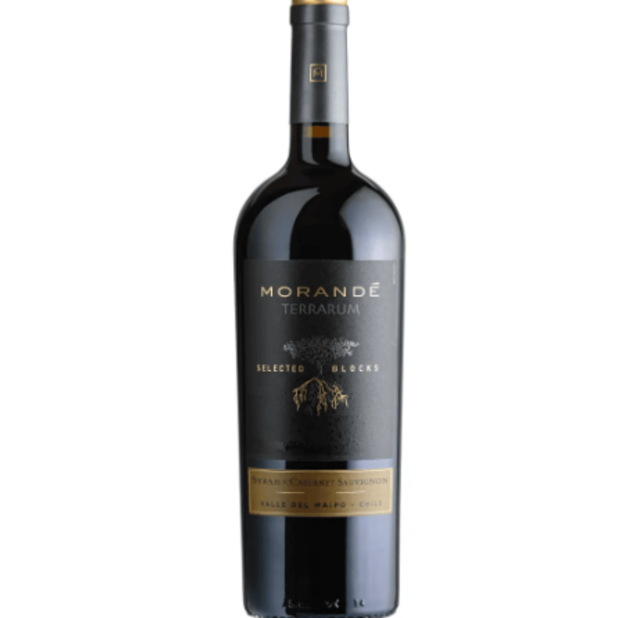 MORANDE TERRARUM SELECTED BLOCKS SYRAH/CABERNET SAUVIGNON 2021