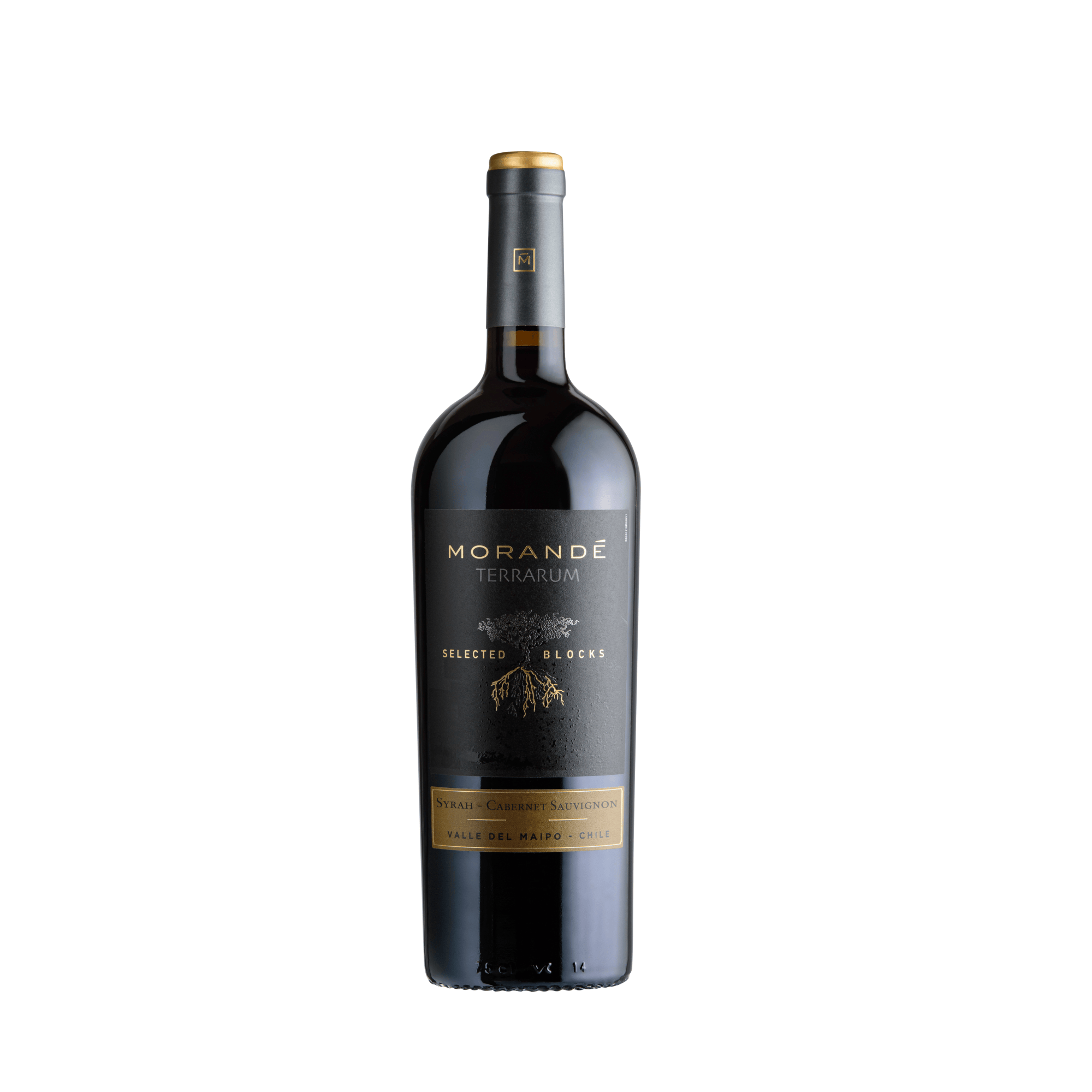 MORANDE TERRARUM SELECTED BLOCKS SYRAH/CABERNET SAUVIGNON 20222