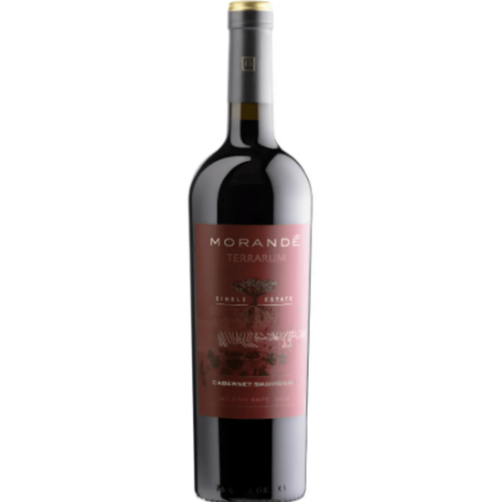 MORANDE TERRARUM SINGLE ESTATE CABERNET SAUVIGNON 2021