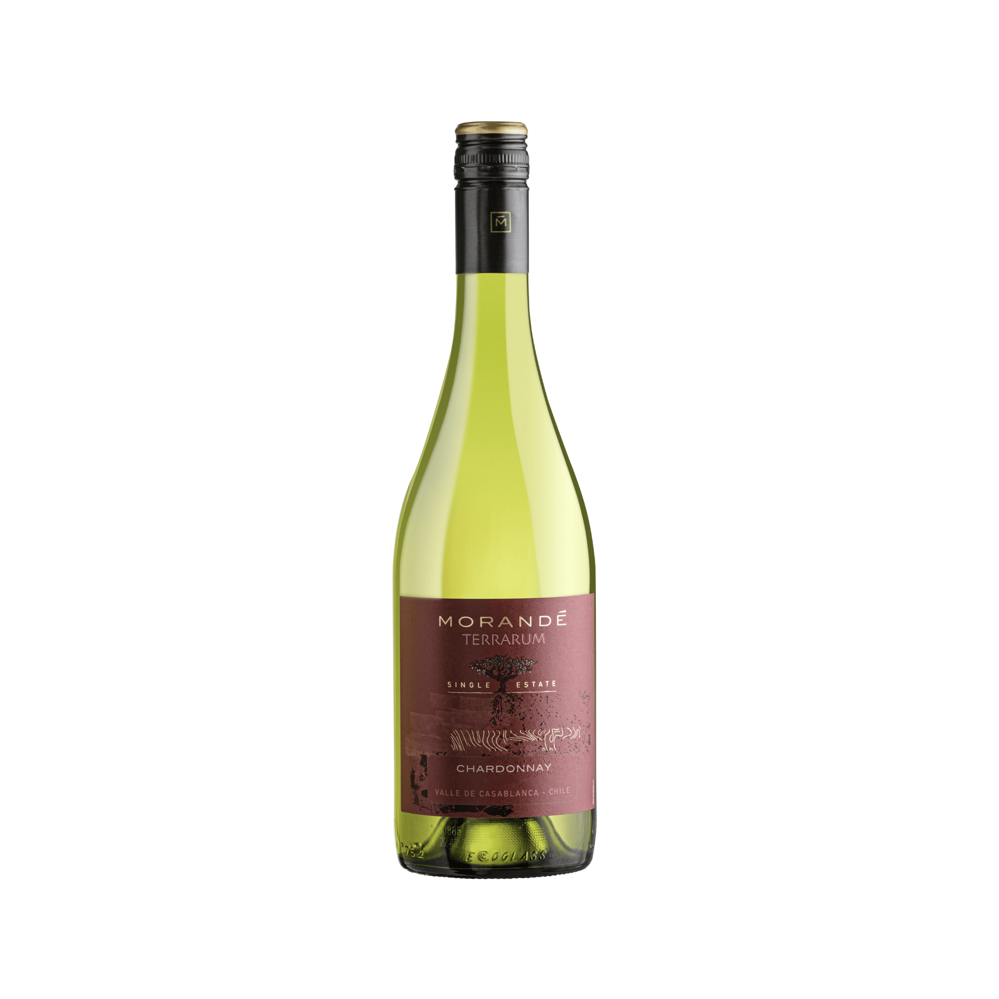 MORANDE TERRARUM SINGLE ESTATE CHARDONNAY 2023
