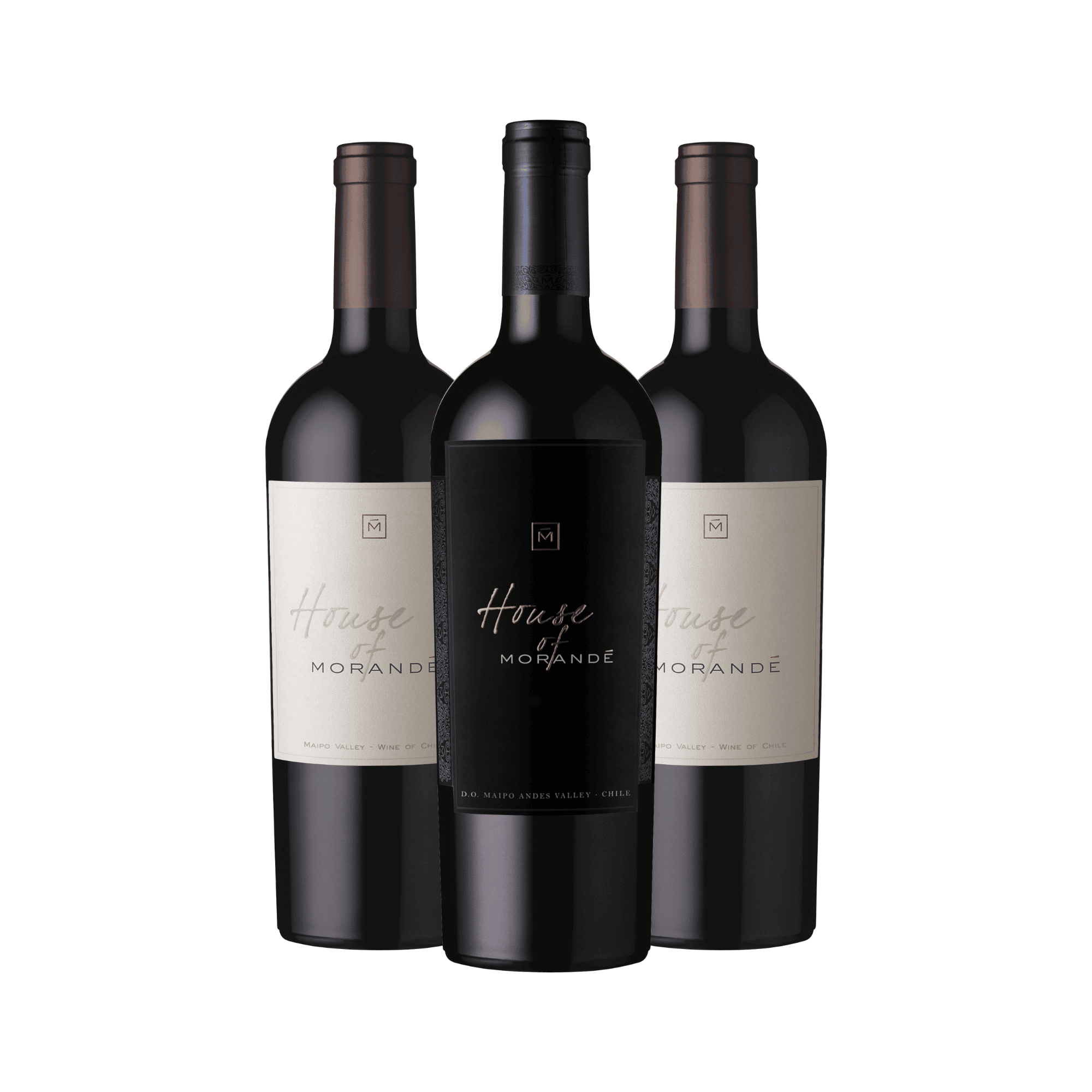 VERTICAL HOUSE OF MORANDÉ - 2008, 2009 e 2020